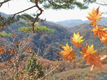 烟台艺术学校出来的明星（山东烟台艺术学校怎么样）